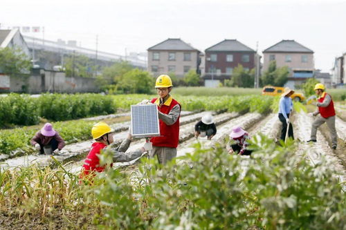 亮故事 智慧农业搭上电力快车