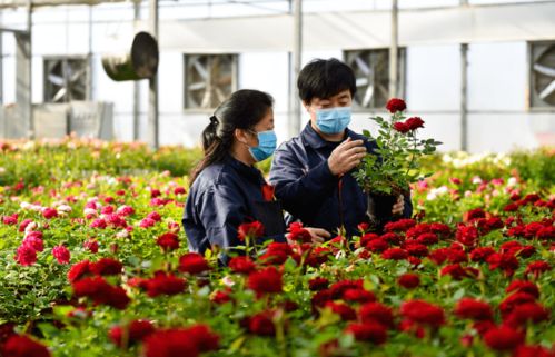 小细节大文明 花卉市场礼仪篇