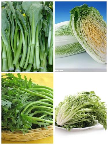 13《如果不吃青菜》 写美篇  "青菜是绿色蔬菜的统称,中国培养的青菜