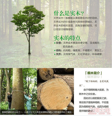 【普成桐木拼板指接板桐木板抽屉板及工艺制板】东明县普成林木种植专业合作社 - 产品库