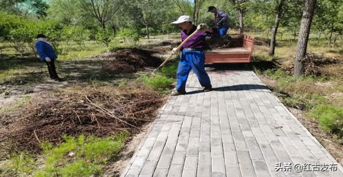 红古区绿化管理所开展林木养护工作