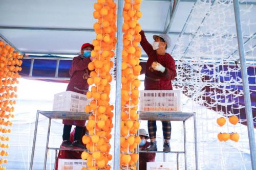 分享式 扶贫对一个村庄堪比一所大学