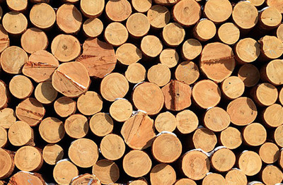 幸福也可以定制,左右愿做你的“三好先生”!