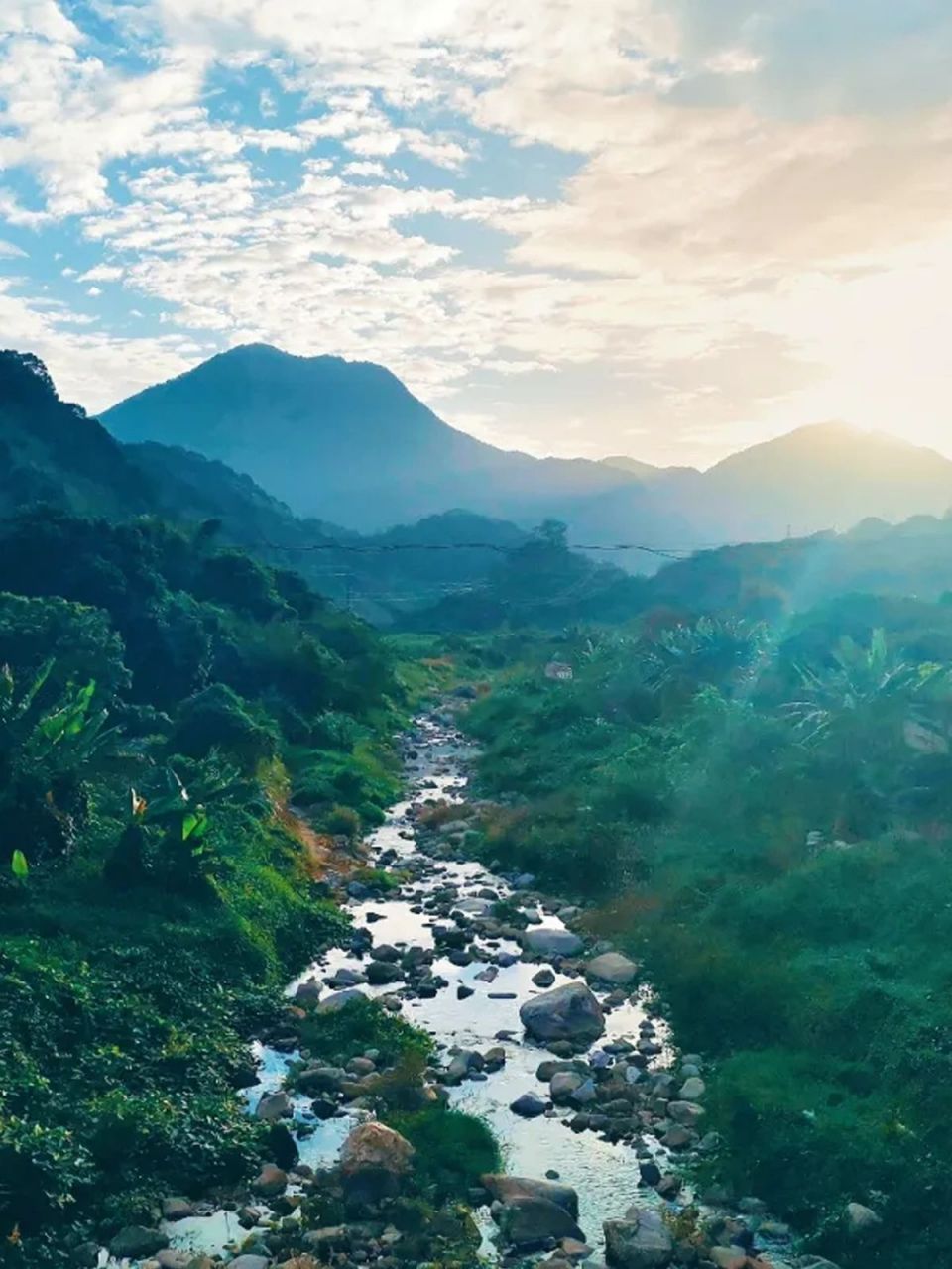 市内徒步!广州第一峰天堂顶徒步最全攻略 这里山高气爽,林木葱郁