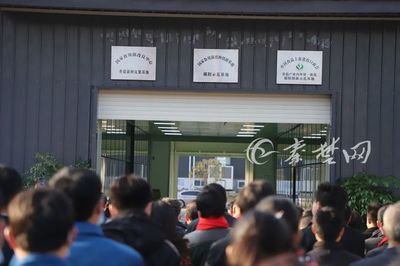 郧阳香菇再添三张“国"字招牌,出口贸易开启新征程!