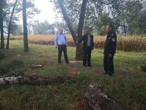 乌兰察布市凉城县侦破滥伐林木案