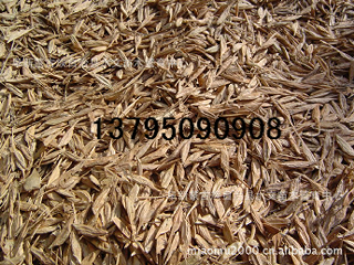 糖槭种子,林木种子、造林种子、种子市场行情_农副产品_世界工厂网