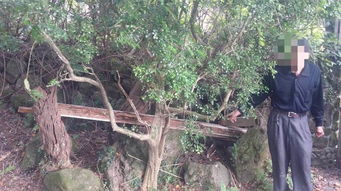 阳明山草山行馆梁柱遭窃 附近邻居拿珍贵林木装修自宅