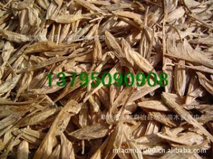 糖槭种子,林木种子.造林种子.种子市场行情_农副产品_世界工厂网