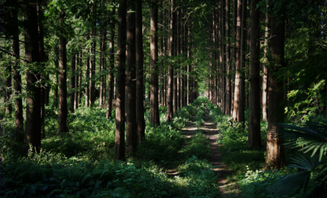 国有林场属于什么单位