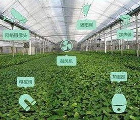 大众锐评 这的农产品为何能 吃干榨尽