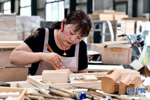 山东曹县 林木撬动大产业