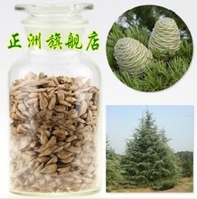 【印度种子】最新最全印度种子 产品参考信息