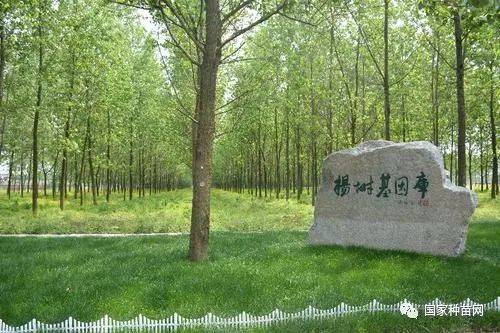 山东省林木种质资源中心获批博士后科研工作站