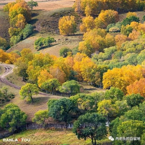 乌兰布统的秋天 6