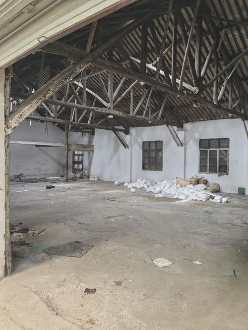 宁波香飘飘食品破产,工厂被拍卖,被人1203万高价买下