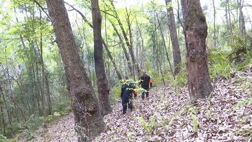 贵州望谟 加强林木种质资源保护 奏响生态文明奋进乐章