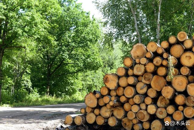 新西兰旨推进木质生物质能源利用