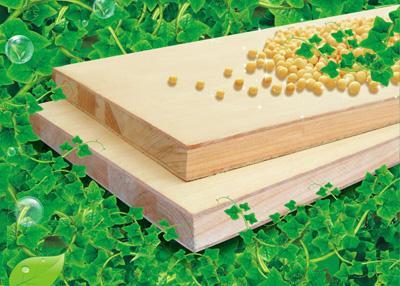 武汉将成俄罗斯木材中东部地区集散中心_