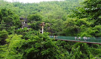 西双版纳原始森林公园门票 电子票无包车限制