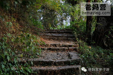 788元一家三口,住西湖畔精品设计别墅,含无敌赏桂山景 营养早餐 创意正餐 下午茶