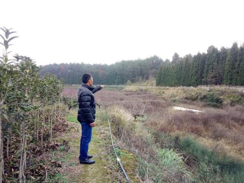 贵州福泉开展苗木生产自查