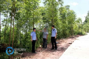 滥伐林木5千余立方米 三男子 栽 了