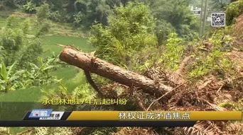 上杭一起村民林木采伐事件,引发对17年前承包合同的质疑