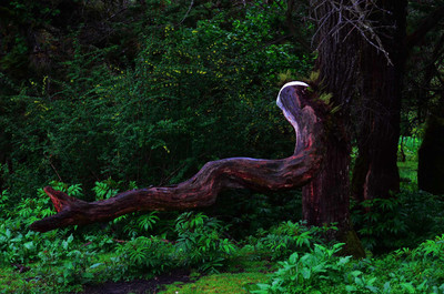 闲净154140122767150