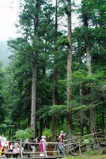 2012年 迎国庆 教职工书画摄影作品展示 摄影