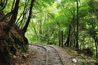 这些台湾高山秘境等待你去征服