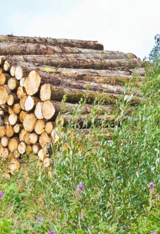 武平法院村居法官普法专栏第13期 生态环境篇