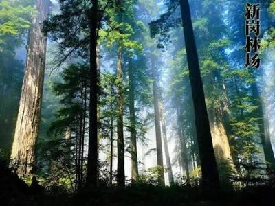 和美怀集,一个值得你来了又来的地方!