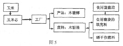 读我国东北地区玉米芯综合利用产业链示意图(图),回答下面问题1.在世界其他地区,生产木糖醇的原料主要是林木,在我国则主要是使用玉米芯。与其他相比,我国用玉米芯作原料制取木糖_作业帮