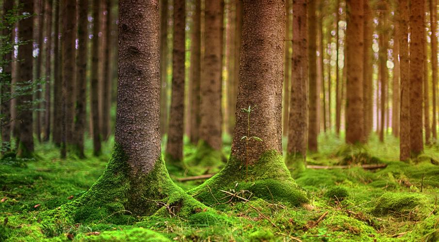 绿色(家具,建材,快递包装)产品认证