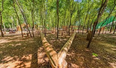 关于科学利用林地资源促进木本粮油和林下经济高质量发展的意见 林草生态汇