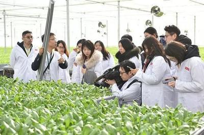 刘强东终于出手!京东新技术的诞生,或将颠覆传统蔬菜种植