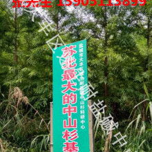 盐城市大丰区南阳镇锦林花木专业合作社