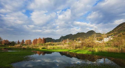 多措并举助力生态环境修复 助推贵阳环城林带提质升级