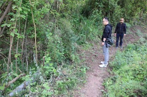 乐至检方对一起滥伐林木案提起公益诉讼