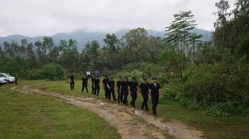 拒不执行 剃头 行动来了