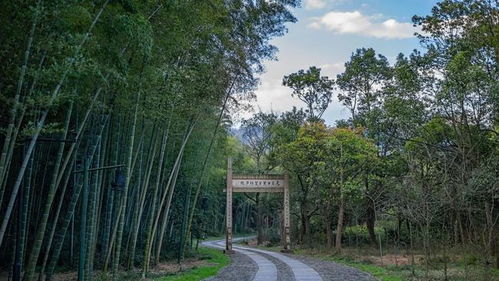 五一 趣 哪玩 五个一 百花大会带你玩转富阳