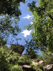 梅力更 还记得20年前的夏天吗