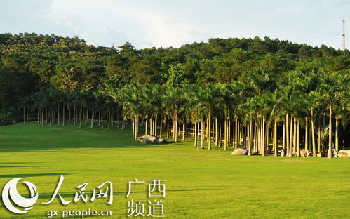林木葱郁青山秀，百花齐放青秀山