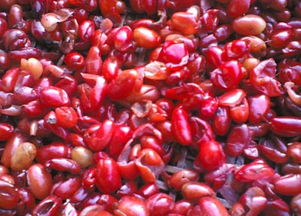 蜀中枣皮花卉 自然界的抗癌瑰宝