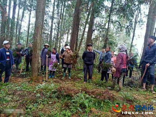 普安检察机关依法公诉滥伐林木案，督促补植复绿修复生态